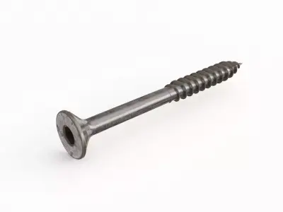 Screw 111 3D model