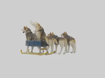 Chinook Dog sledding model Low-poly 3D model