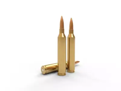 671 Blackbird  Ammo Low-poly 3D model