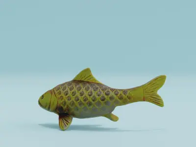Golden Koi Fish Free low-poly 3D model