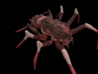 red spider columbias Low-poly 3D model