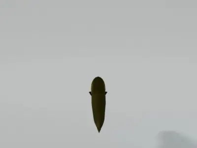 Electric Eel Low-poly 3D model