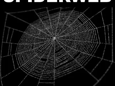 Spiderweb 1 3D model