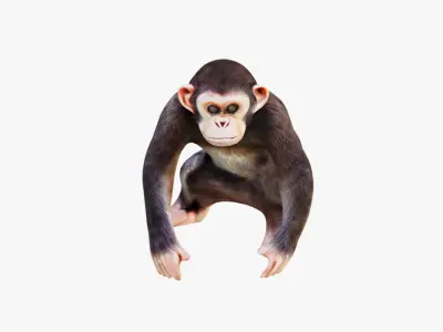Monkey Free 3D model