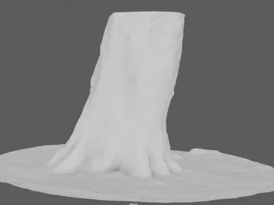 Tree Trunk 2 for 3d Model - 3d Scan 3D model