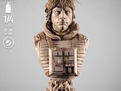 STAR WARS Luke Pilot Portrait Bust  3D print model purchase