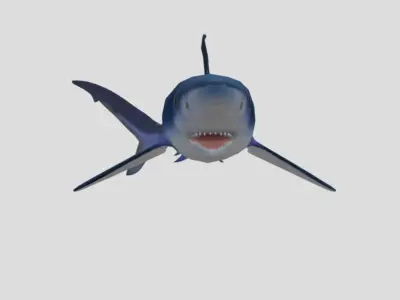 Blue Shark Realistic Animated Low-poly 3D model