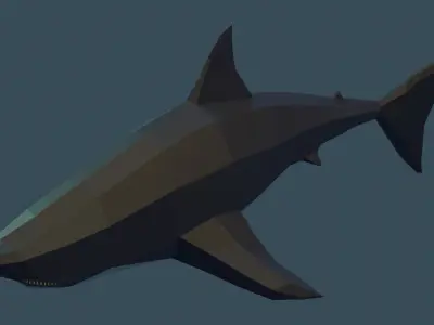 Shark Free low-poly 3D model