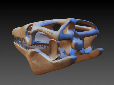 Mosasaurus Skeleton model Low-poly 3D model