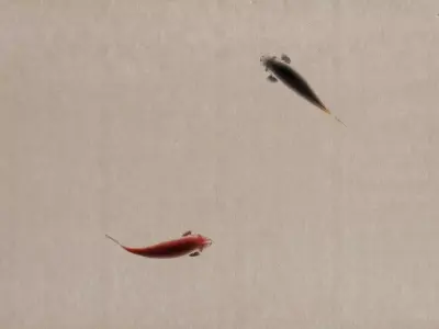 Ink Fish ink painting animation 3D model