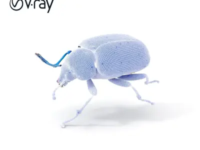 Iridescent Beetle D Model Pack Low-poly 3D model