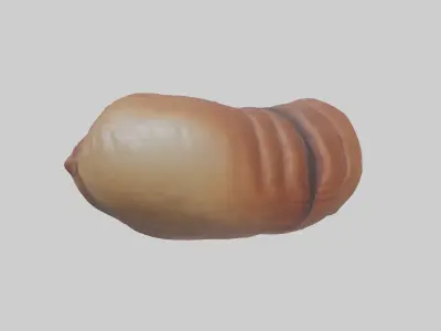 Deer Stomach Low-poly 3D model