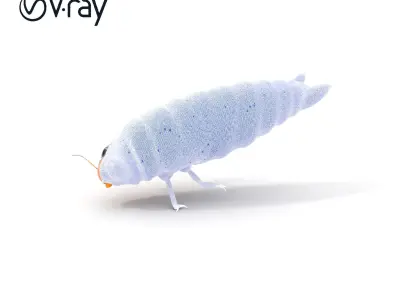 Insect Larva D Model Pack for Visualization and Games Low-poly 3D model