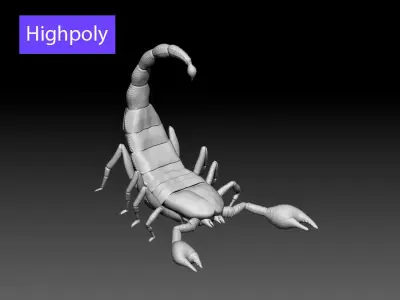 High poly scorpion 3D model
