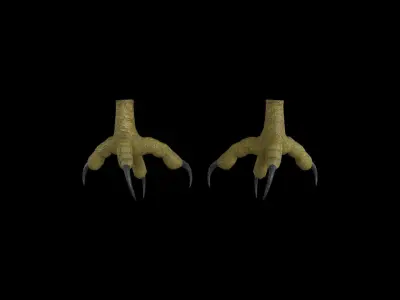 FOOT001 Rigged Bird Feet Low-poly 3D model