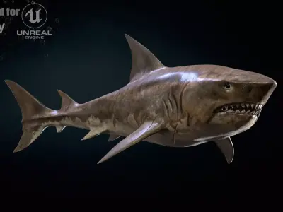AlienShark 5 Low-poly 3D model