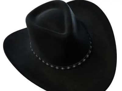 Cowboy Hat 3D model purchase