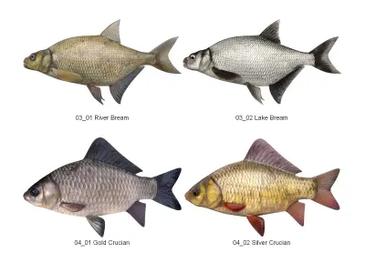 Dosch 3D - Fish 3D model