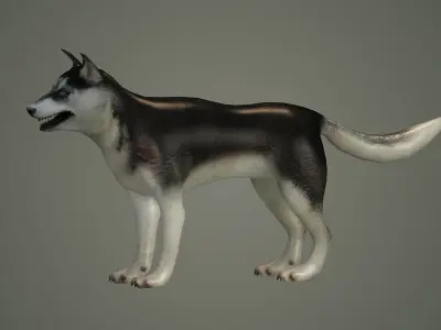 dog animal mammal husky siberian alaska cabin snow perro 3D model