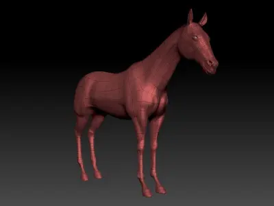 Horse animal steed Tpose land ride cavalry donkey mule racing 3D model