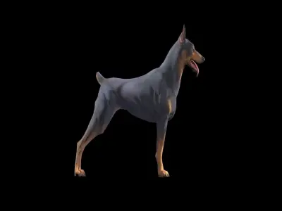 Doberman Dog Low-poly 3D model Low-poly 3D model