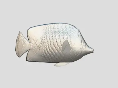 Pearlscale Butterflyfish Realistic Animated Low-poly 3D model