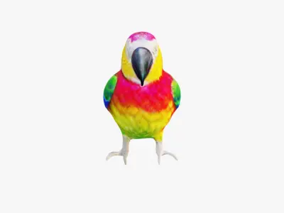 Parrot Free 3D model