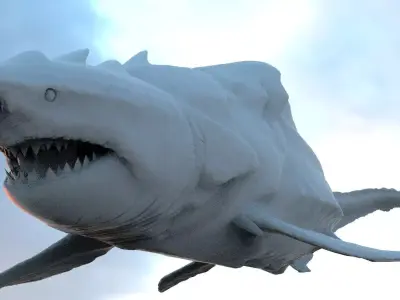 Great White Shark Hybrid With UVs 3D model