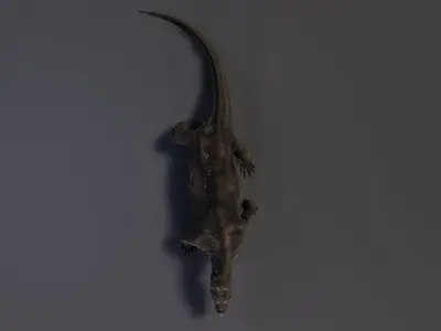 Komodo Dragon Low-poly 3D model