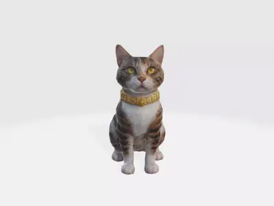A calico cat 3D model