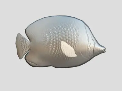 Speckled Butterflyfish Low-poly 3D model