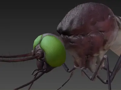Mosquito with eyes Low-poly 3D model