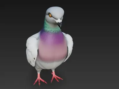 Pigeon  Realistic 3D Model Basic - Low Poly Realistic Low-poly 3D model