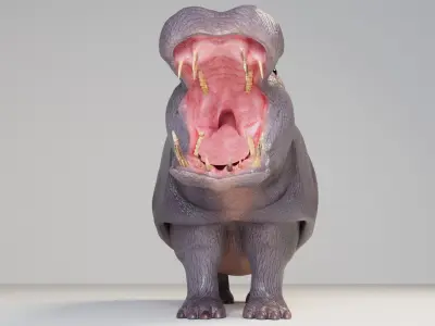 Hippopotamus 3D model