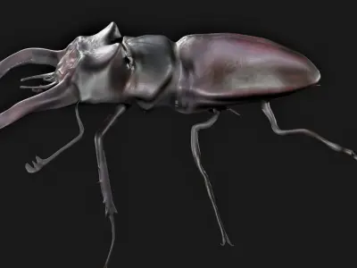 Stag Beetle Rigged Low-poly 3D model