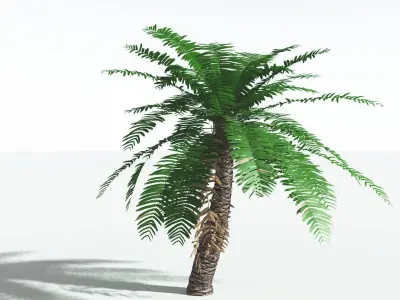 EVERYPlant Pseudoctnis Cycad 3 --12 Models-- 3D model