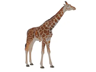 Giraffe Low-poly 3D model