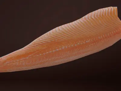 Salmon fillet Low-poly 3D model