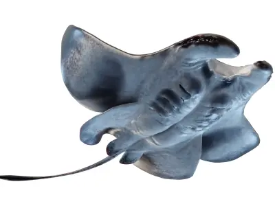 Manta Ray Mutant 3D model