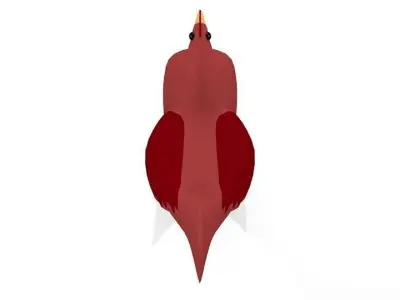 chicken cardinal canvas 3D model