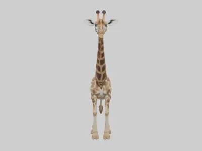 Masai giraffe Low-poly 3D model