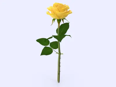 Rose 22 3D model