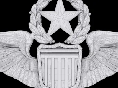 USAAF Command Pilot Wings Badge 3D model