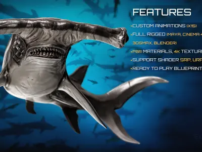 Hammerhead Shark - Ocean Predator - Underwater Creature - 29 Low-poly 3D model