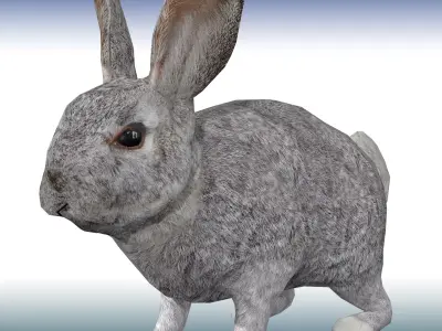Rabbit  Low-poly 3D model