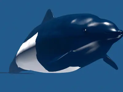 Porpoise orca whale 3D model