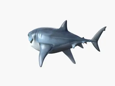 Bruce The Shark Low-poly 3D model