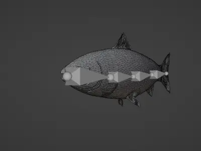 Salmon Fish 3D model