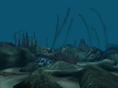 Coral reef low poly Low-poly 3D model