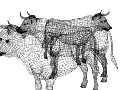 Bull Mesh 3D model